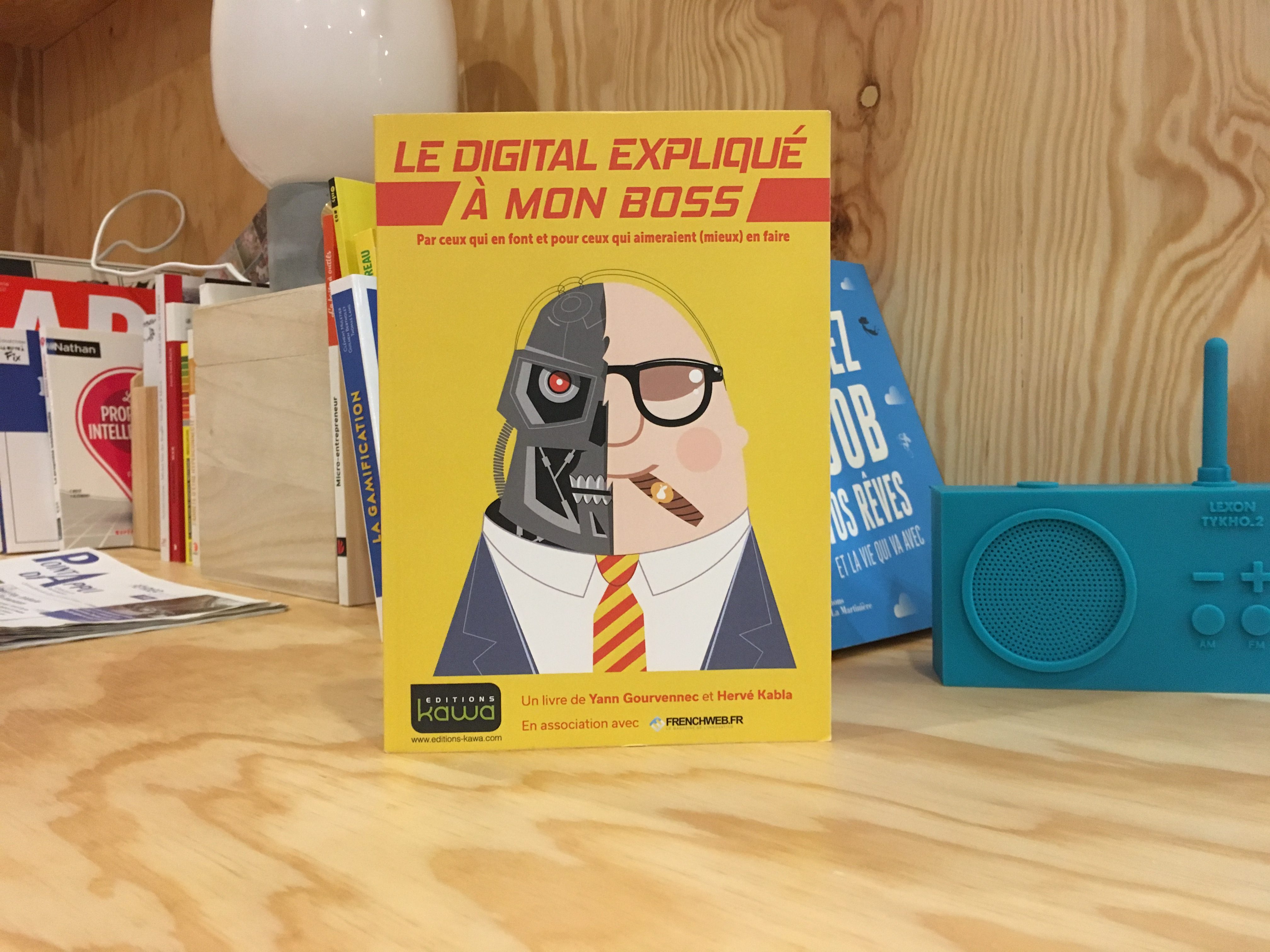  Livre Le digital  expliqu   mon boss pour r ussir sa 